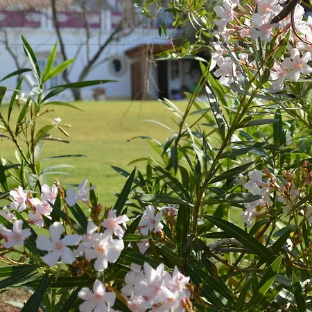 Quinta Da Mesquita Bed & Breakfast Pêra