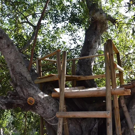 Quinta Da Mesquita 4* Pêra