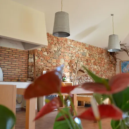 Quinta Da Mesquita פרה