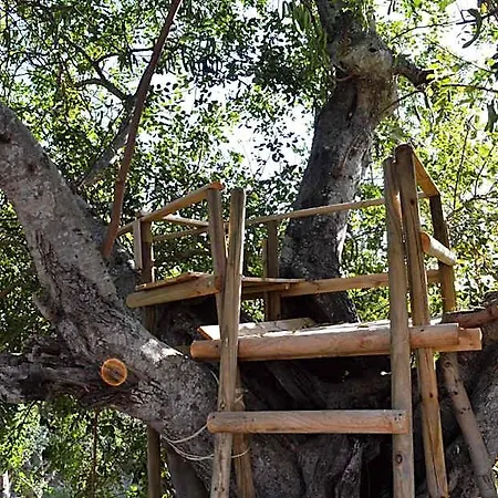 Quinta Da Mesquita 4*