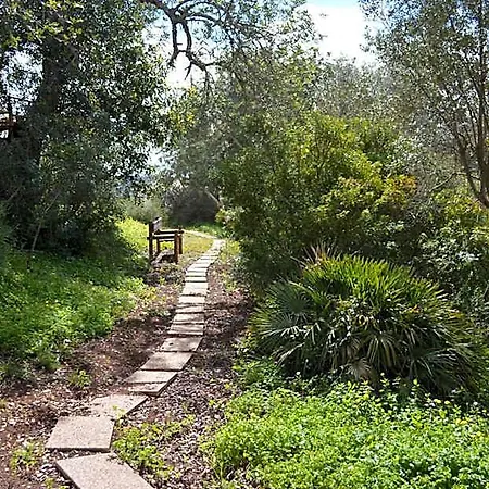 Alojamento de Acomodação e Pequeno-almoço Quinta Da Mesquita