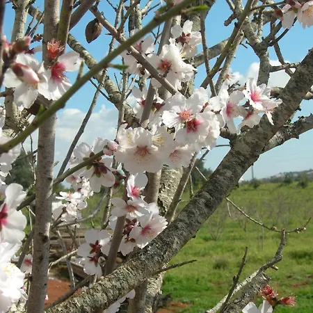 Quinta Da Mesquita Bed & Breakfast 3*
